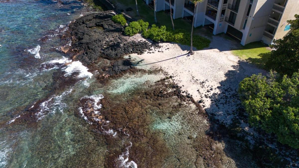 Oceanfront 1 Bedroom 2 Bathroom With Large Lanai - Kona Bali Kai 218 Kailua-Kona Exterior photo